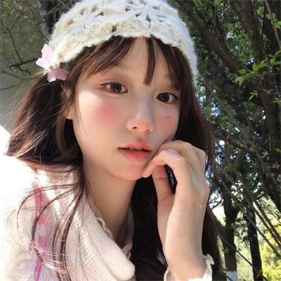 我在岛屿读书封面