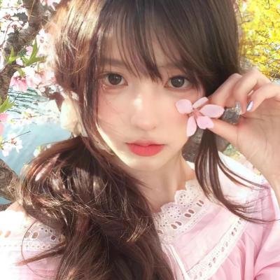 狐狸猎手封面