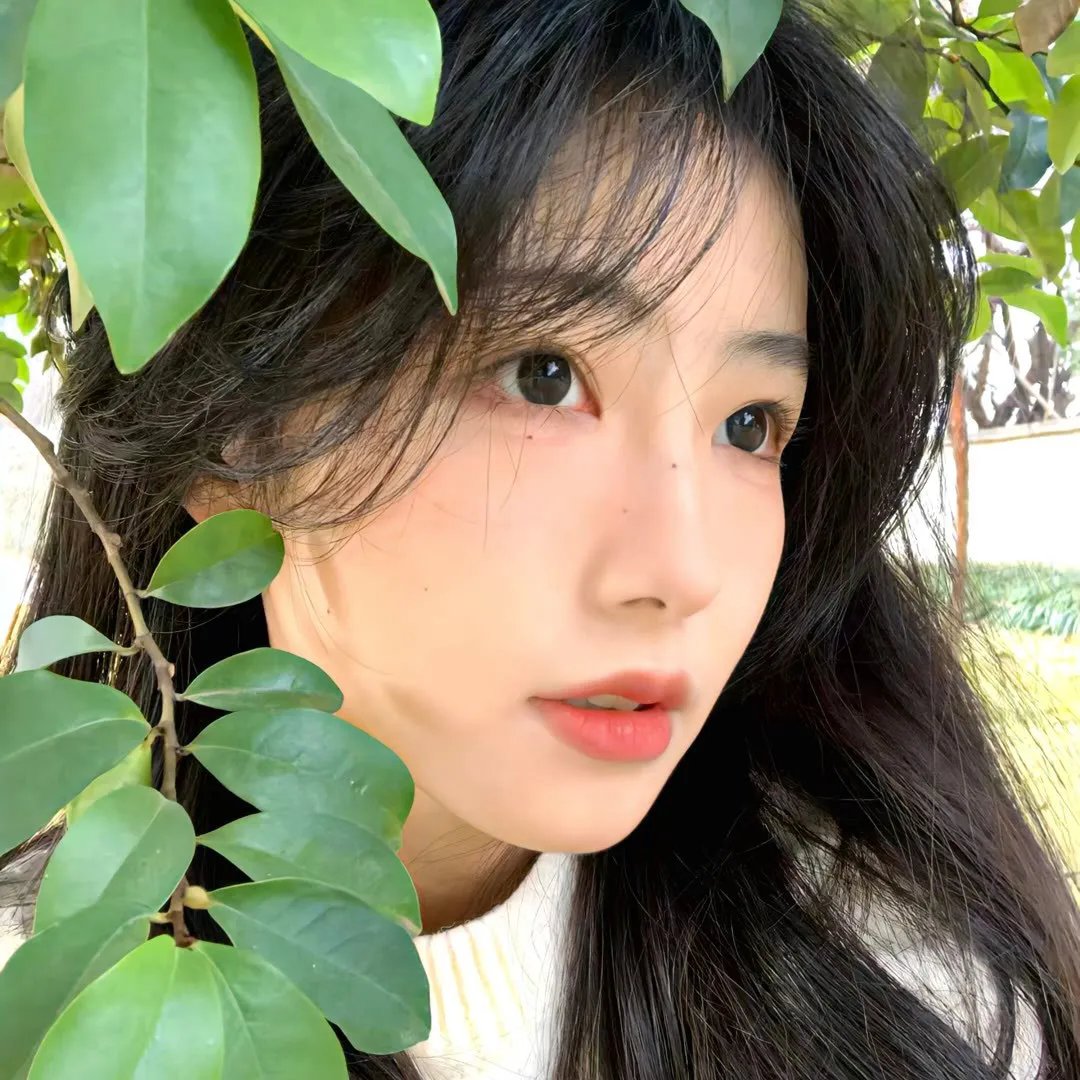 爱情编年史封面